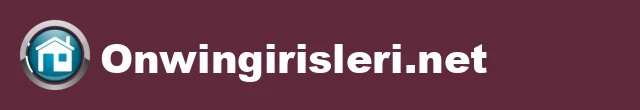 homepage logo of onwingirisleri.net